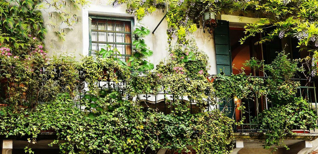 Venezia Ca' Dri Apartment Εξωτερικό φωτογραφία